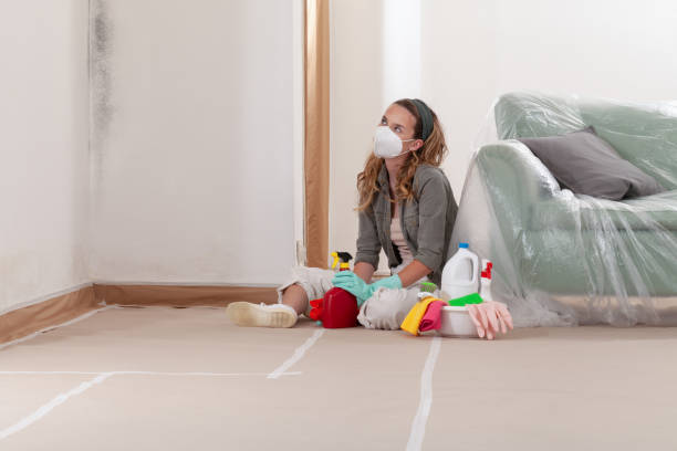 Reliable Mold Inspection contractor in Edgewood, PA by WQB Mold Removal